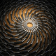 Illustration for article titled Guy Collects 5000 Cellphones, Creates Art Show
